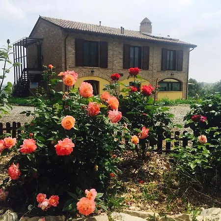 Il Colle Del Falco Farm stay *