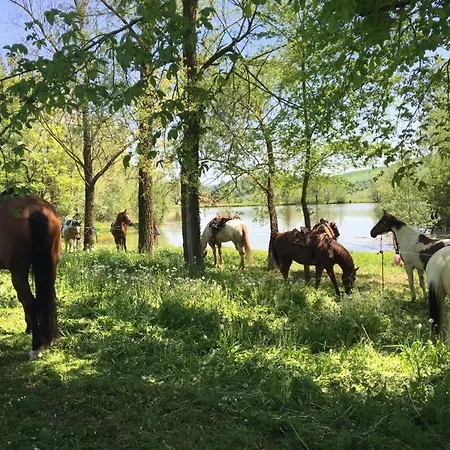 Il Colle Del Falco Farm stay