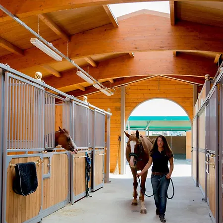 Il Colle Del Falco Farm stay *