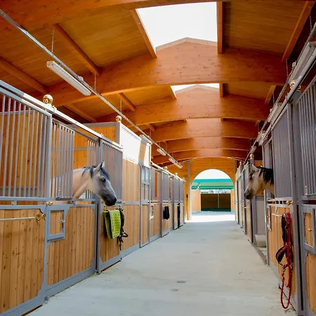 Il Colle Del Falco Farm stay