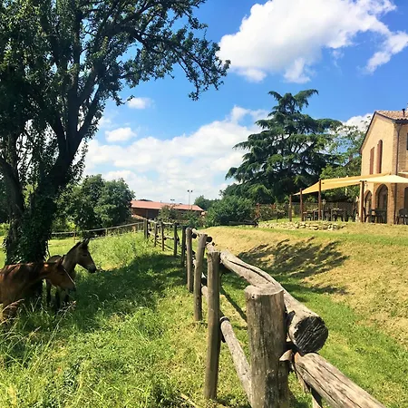Farm stay Il Colle Del Falco